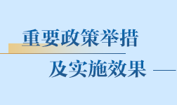 重要政策舉措及實施效果